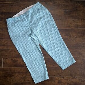 Talbots Scrolling Hearts Perfect Crop Pants Aquamarine Size 20W